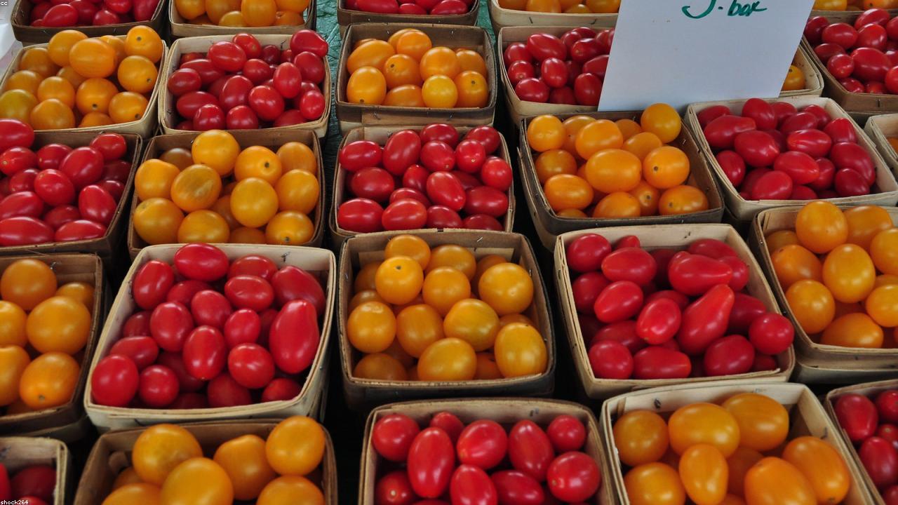 20 Professional Tips to Improve Your Healthy News